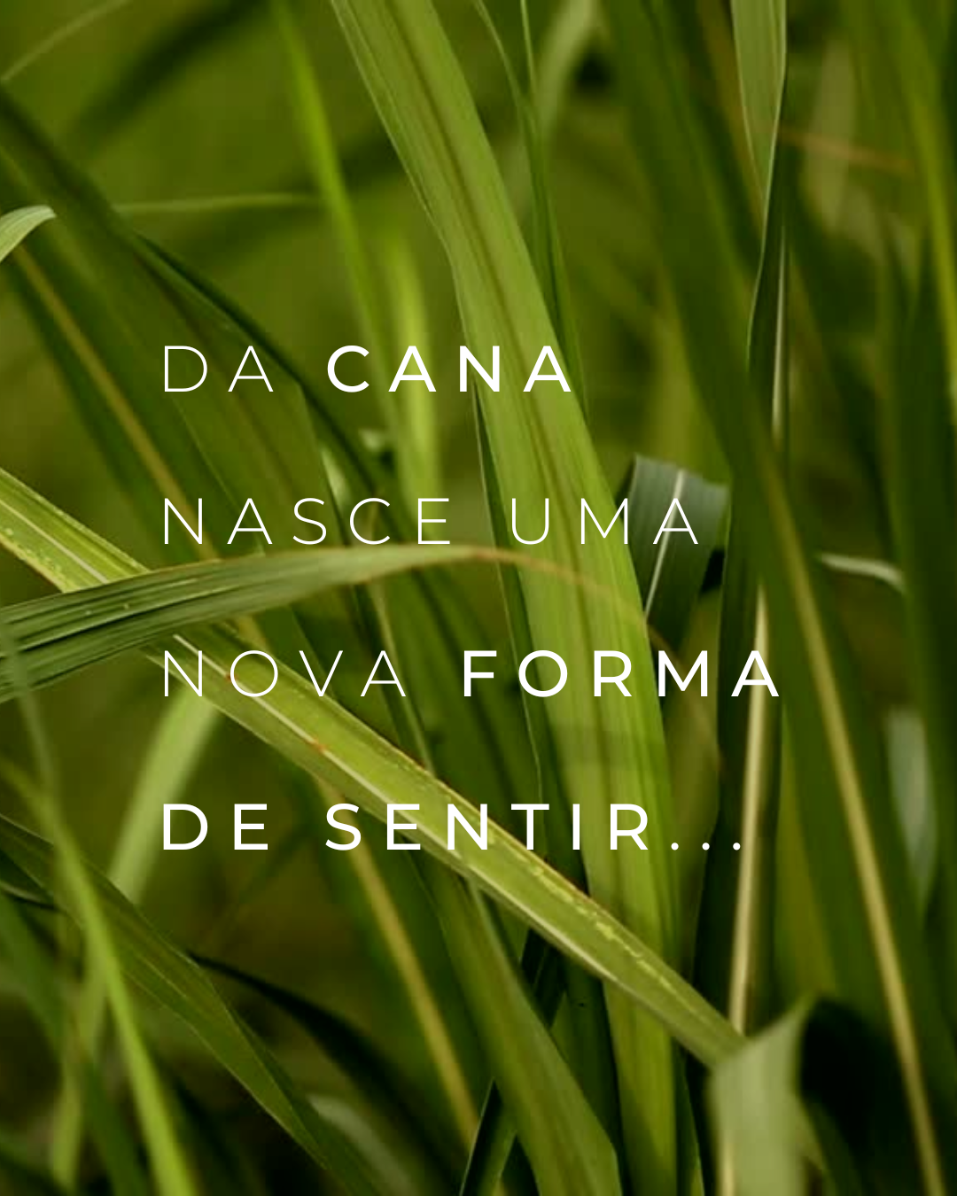 Cannova