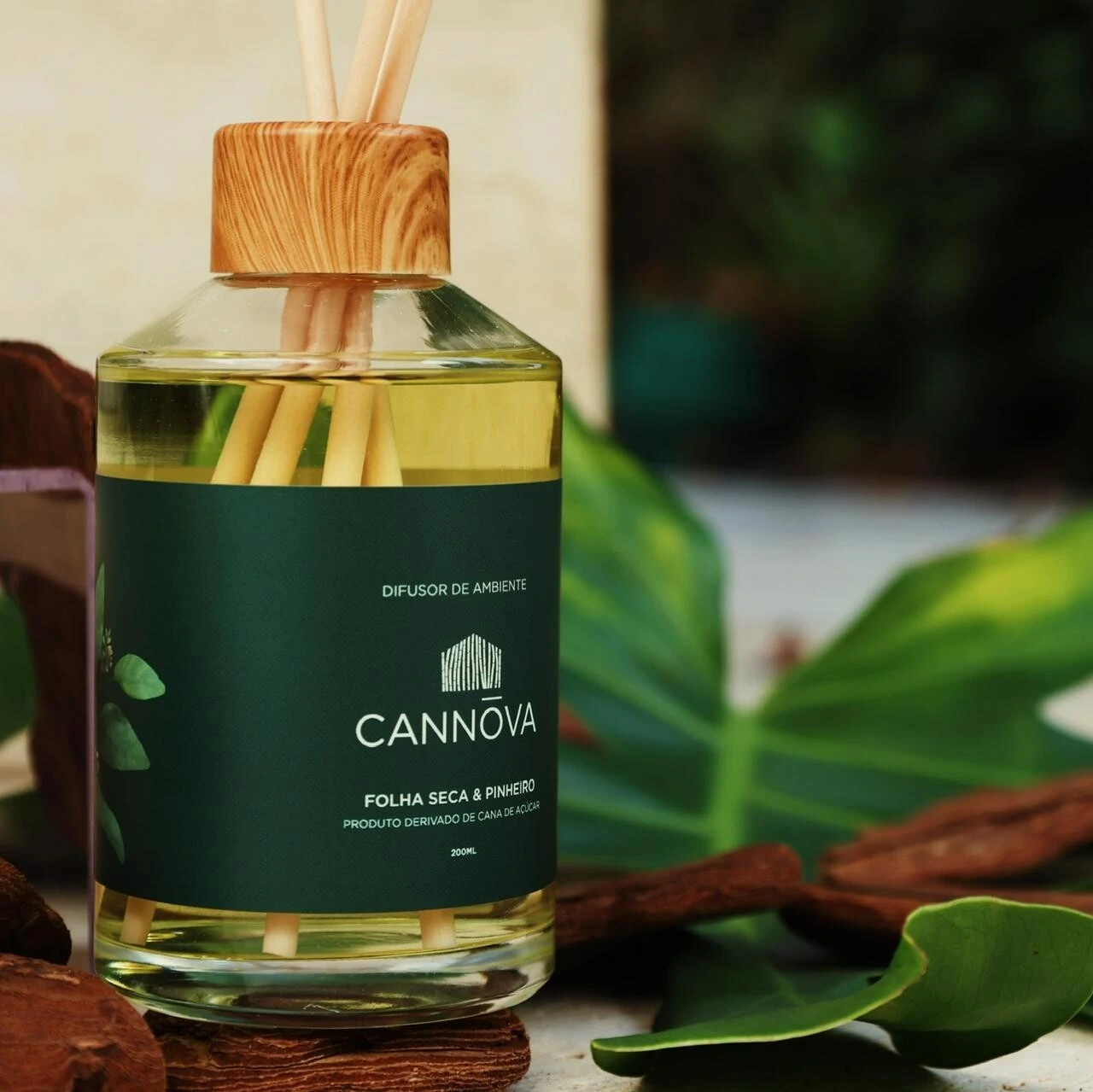 FotoDifusor Folha Seca e Pinheiro