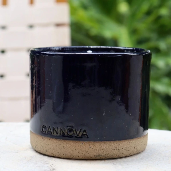 Vela de Folhas Secas e Pinheiro