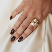 Anel Leão Ouro18k