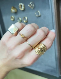 Anel Leão Ouro18k