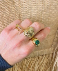 Anel Leão Ouro18k
