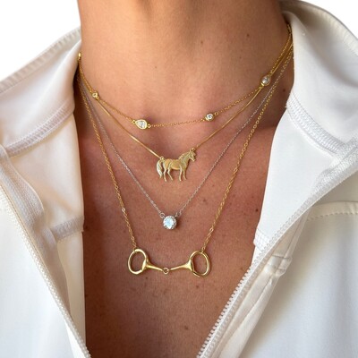 FotoColar signatura equestre cavalo cássico prata925