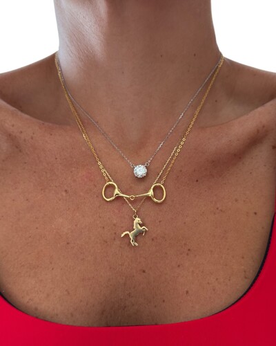 FotoColar equestre bridão prata925 com banho de ouro18k (sob encomenda)