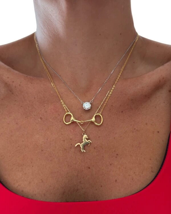 Colar equestre bridão prata925 com banho de ouro18k (sob encomenda)