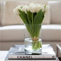 Livro Chanel: Collections and Creations