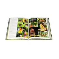 Livro Costa Rica, Könemann