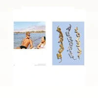 Livro Yves Saint Laurent: Gold