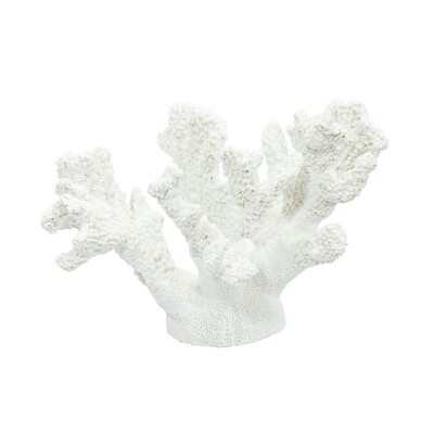 Foto Escultura Decorativa Coral