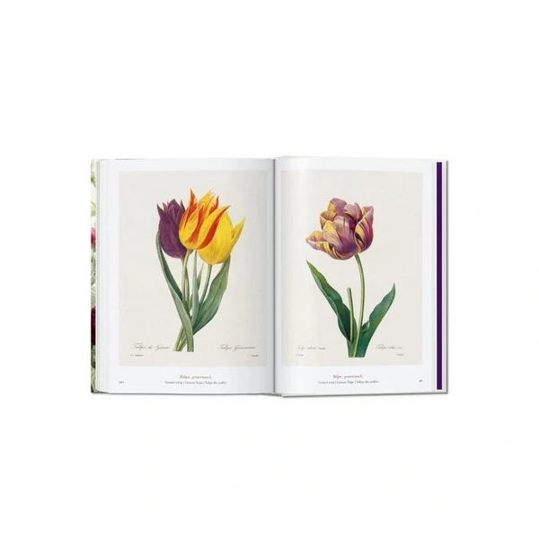 Livro The Book of Flowers – Taschen
