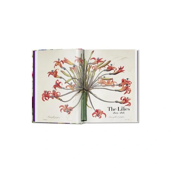 Livro The Book of Flowers – Taschen