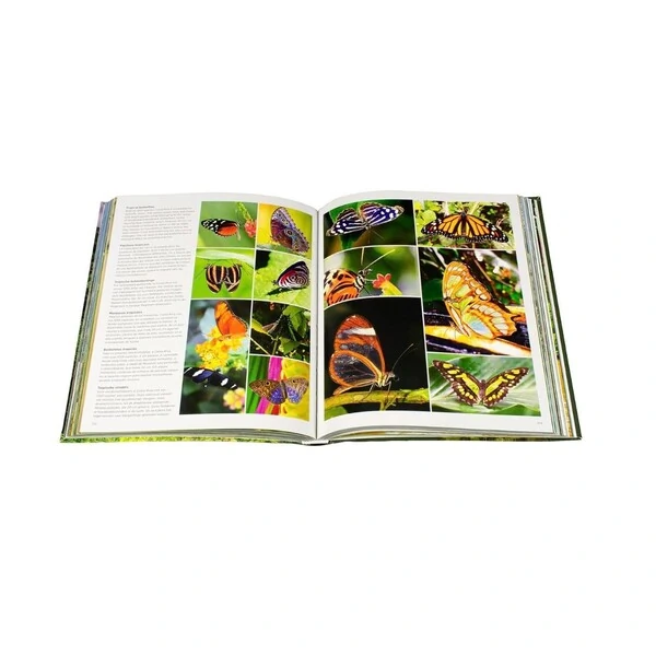 Livro Costa Rica, Könemann