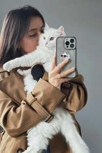 Jaqueta Trench Coat Curta Alfaiataria