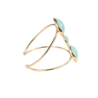 Bracelete Dourado Com Resina