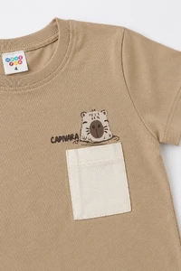 Conjunto Capivara