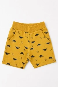 Conjunto Dinos