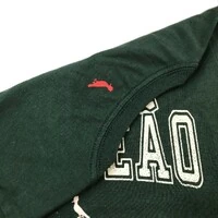 Camiseta Campeão Verde