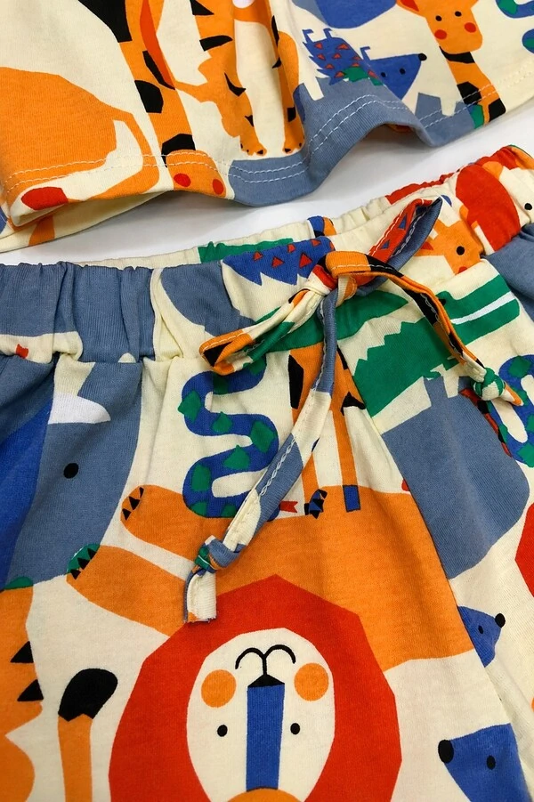 Conjunto blusa e short
