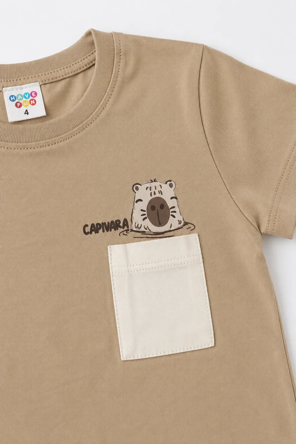 Conjunto Capivara