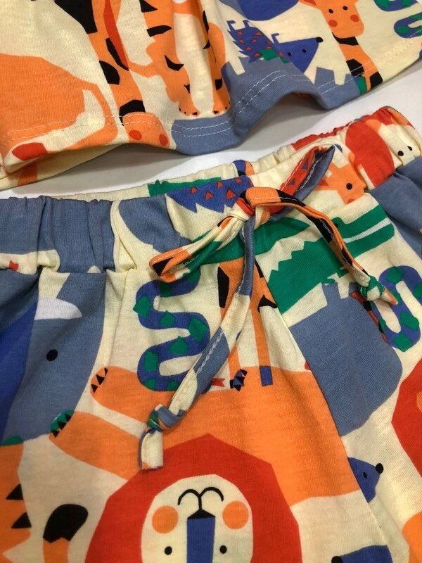 Conjunto blusa e short