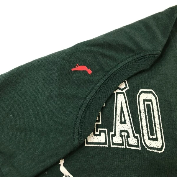 Camiseta Campeão Verde