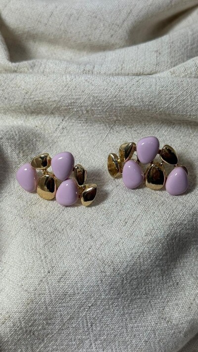 Foto Brinco Pedras Bicolor