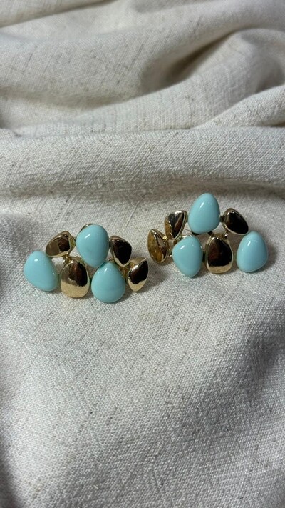 Foto Brinco Pedras Bicolor