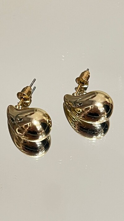 Foto Gota Lisa Pequena