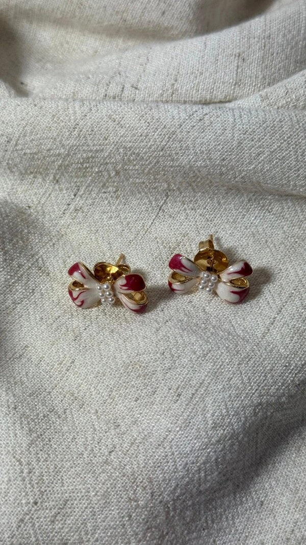 Brinco Pequeno Laço Bicolor