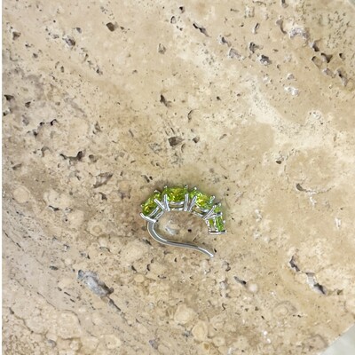 FotoFalso Piercing Apple Green Prata 925