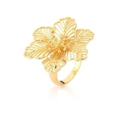 Foto Anel Flor Vazada Lisa Banho de Ouro 18 K