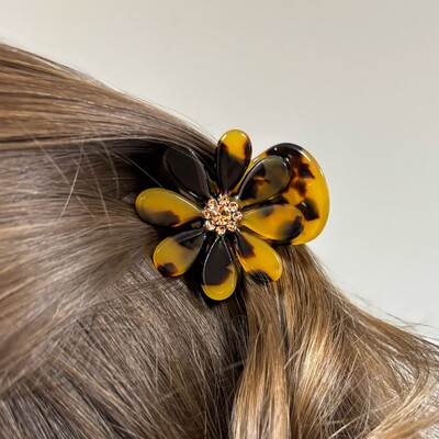 FotoPiranha Margarida Tartaruga