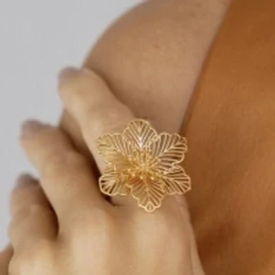 Foto Anel Flor Vazada Lisa Banho de Ouro 18 K