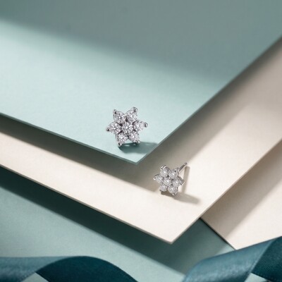 FotoCopiar Brinco Mini Flor Moissanite | Prata 925 com Ródio Branco | Certificado GRA | 5mm