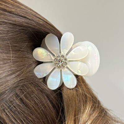 FotoPiranha Margarida Madrepérola