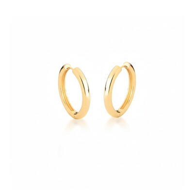 Foto Argola Tubo Lisa G Banho de Ouro 18 K