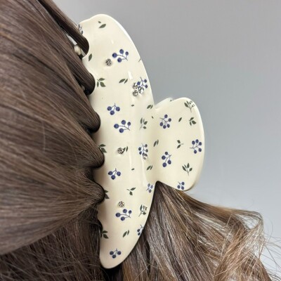 FotoPiranha Blueberry