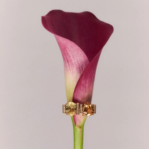 Anel Grace I Banho de Ouro 18 K