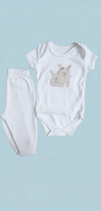 Conjunto Primeiros Passos em Suedini