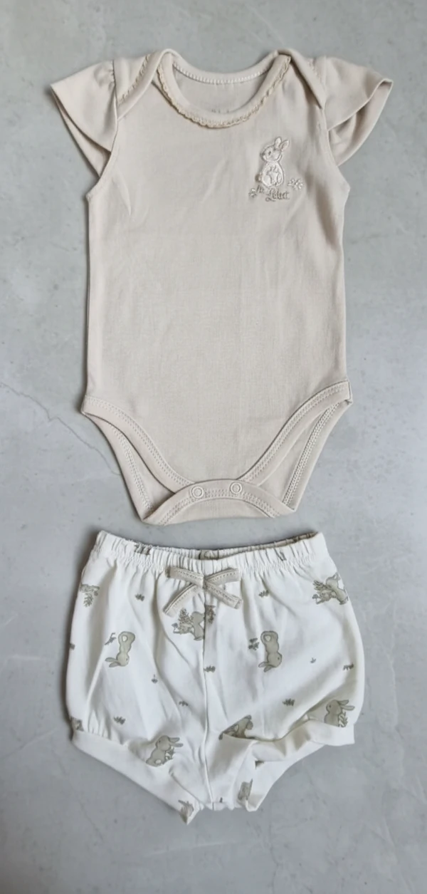 Conjunto Natureza e Aventura (Tons Terrosos)