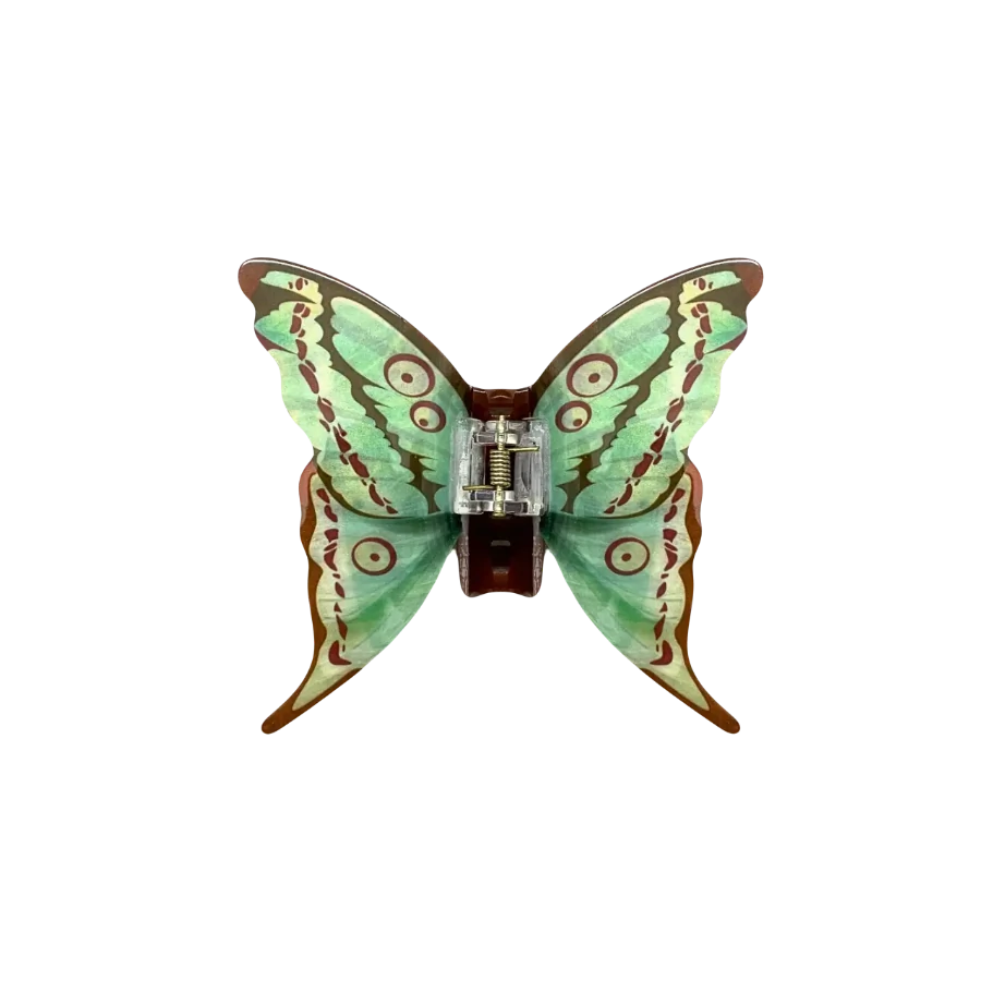 FotoPiranha Borboleta
