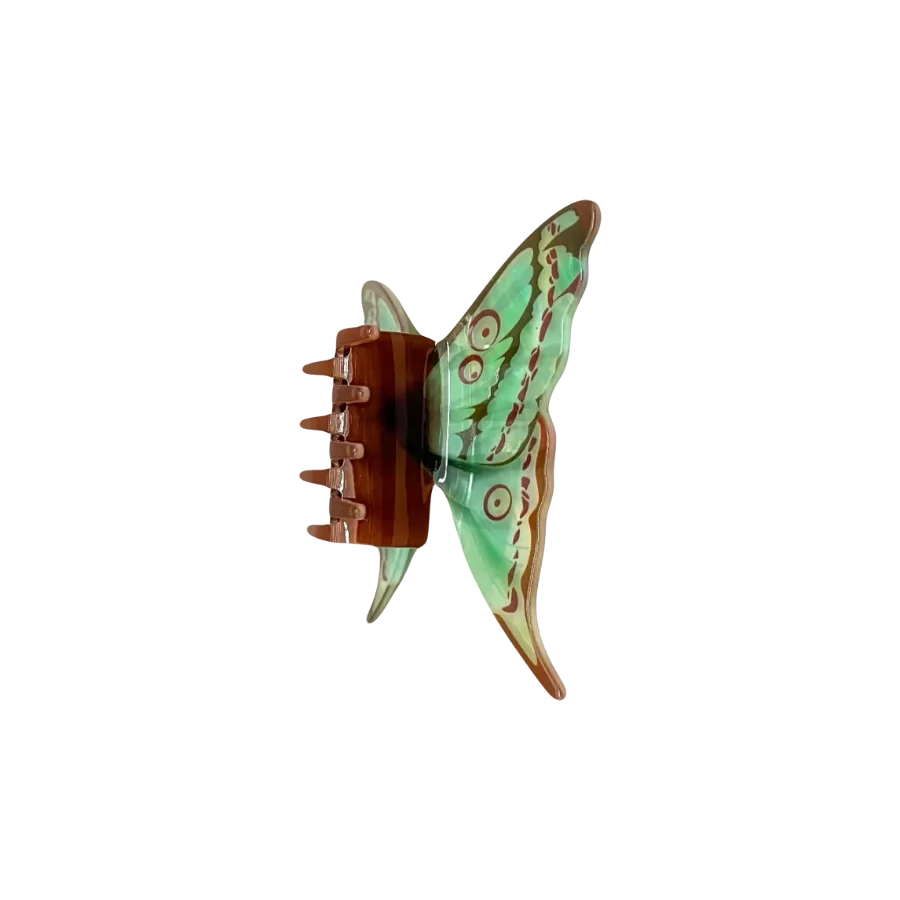 FotoPiranha Borboleta