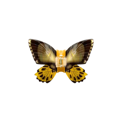 Foto Piranha Borboleta
