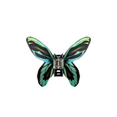 Foto Piranha Borboleta