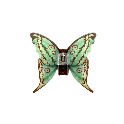 Foto Piranha Borboleta