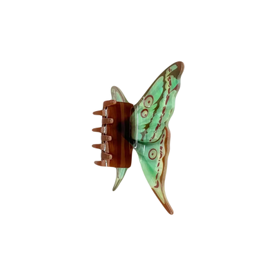 FotoPiranha Borboleta
