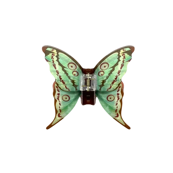 Piranha Borboleta