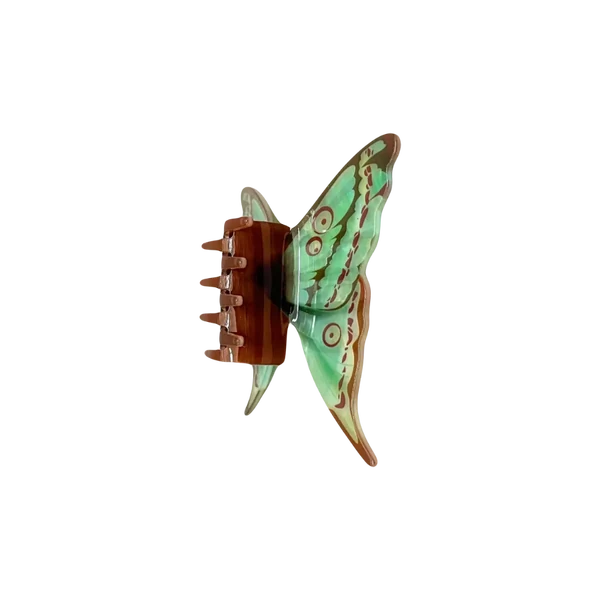 Piranha Borboleta