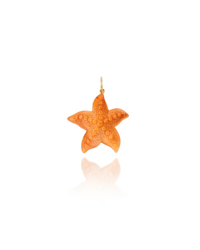 Foto Pingente Estrela do Mar Madrepérola | Ouro Amarelo 18K