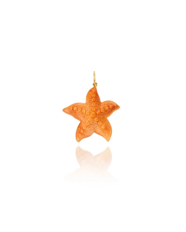 Pingente Estrela do Mar Madrepérola | Ouro Amarelo 18K